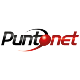 Puntonet
