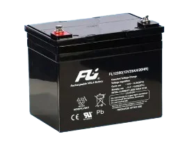 [PPWS122] BATERIA SELLADA 12V-35AH POWEST REF. FL12350GS [CEBAT-7214]